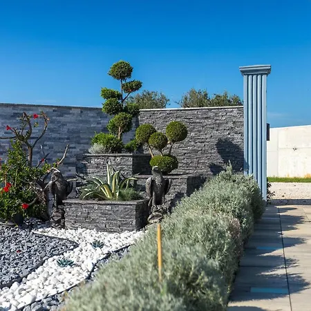 Danijela Vikendica *