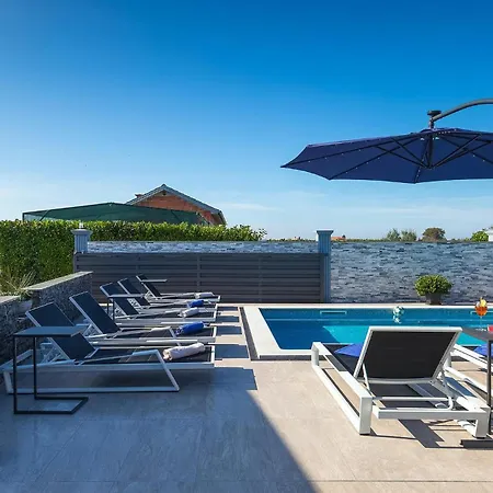 Danijela Vikendica *